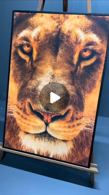 Reel com quadro de le&atilde;o em close